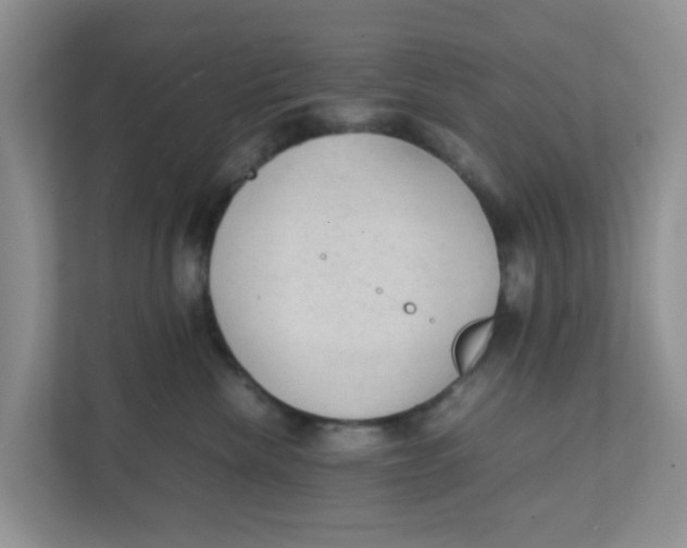 X0000111860476200908131503