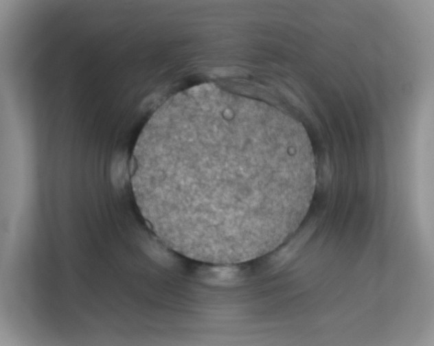 X0000111860478200908131503