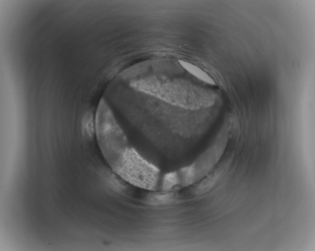 X0000111860479200908131503