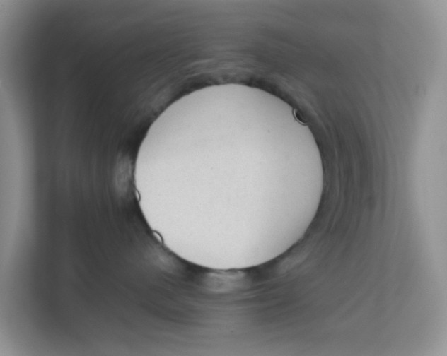 X0000111860480200908131503