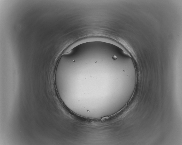 X0000111860481200908131502