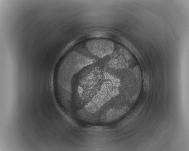 X0000111860482200908131502