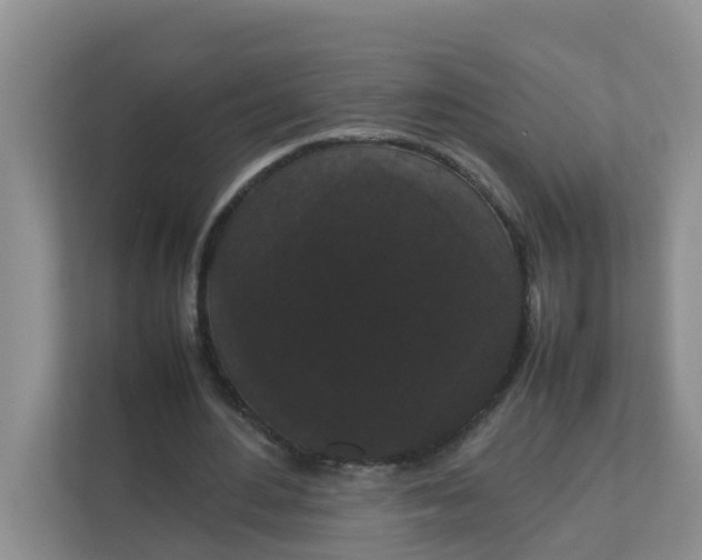 X0000111860484200908131502