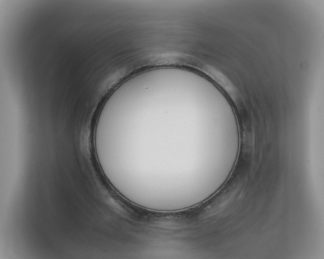 X0000111860485200908131502