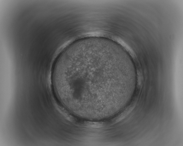 X0000111860486200908131502