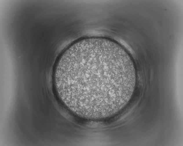 X0000111860487200908131502