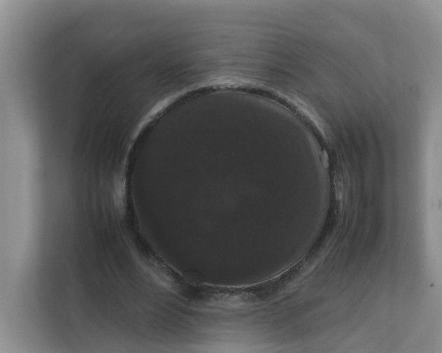 X0000111860488200908131502