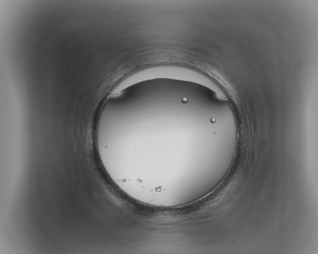 X0000111860489200908131502