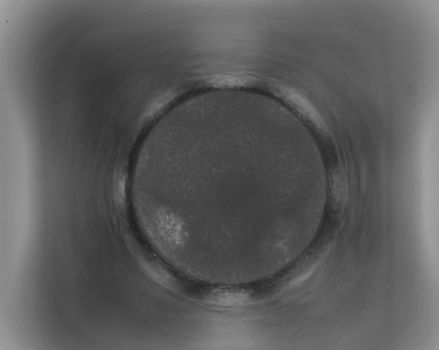 X0000111860491200908131502