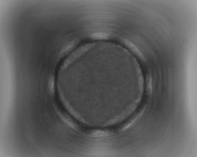 X0000111860494200908131502