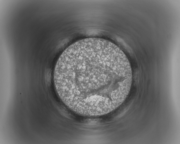 X0000111860495200908131502