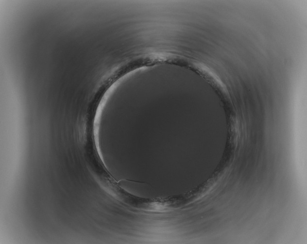 X0000111860496200908131502