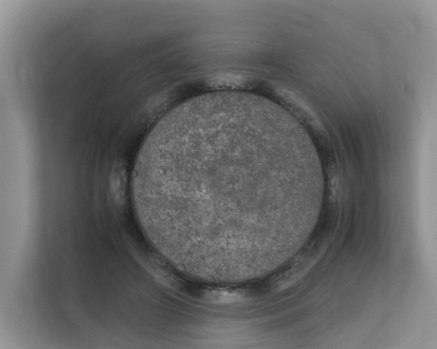 X0000111860498200908131502