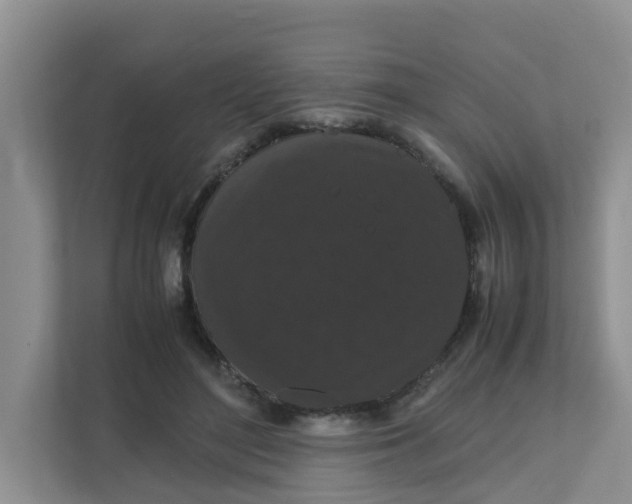 X0000111860500200908131502