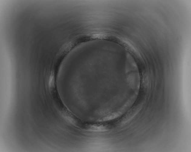 X0000111860502200908131502