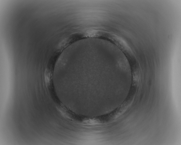 X0000111860503200908131502