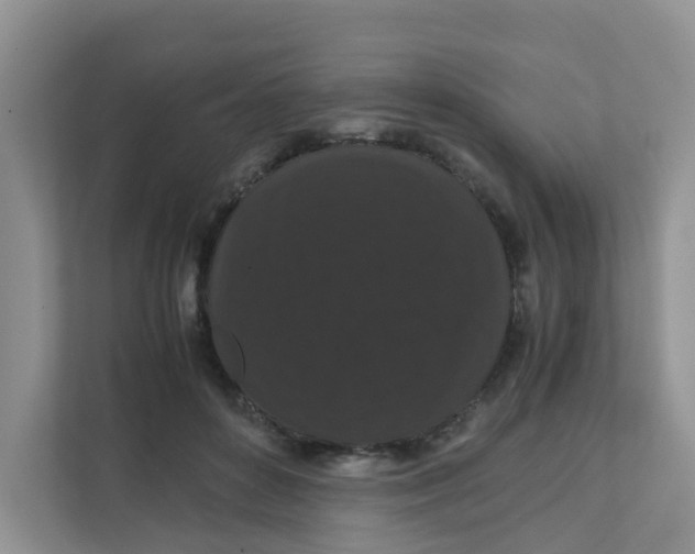 X0000111860504200908131502