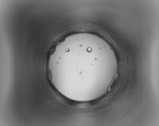 X0000111860505200908131502