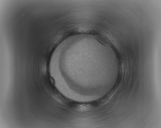 X0000111860508200908131502