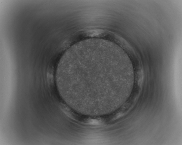 X0000111860510200908131502