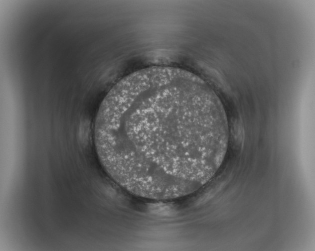 X0000111860511200908131502