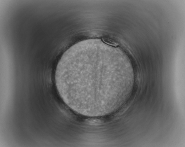 X0000111860512200908131502