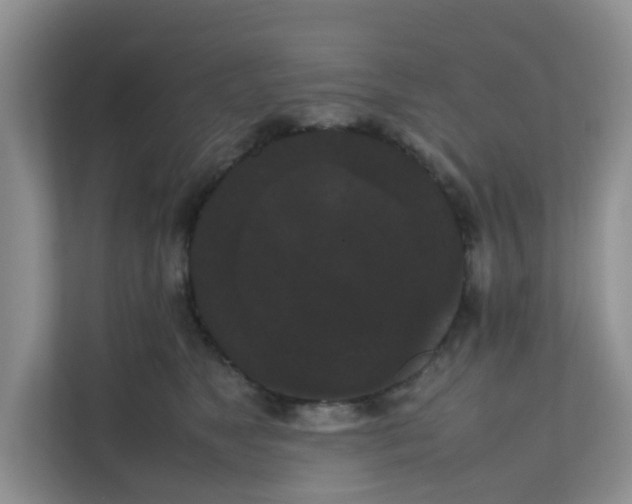 X0000111860517200908131502