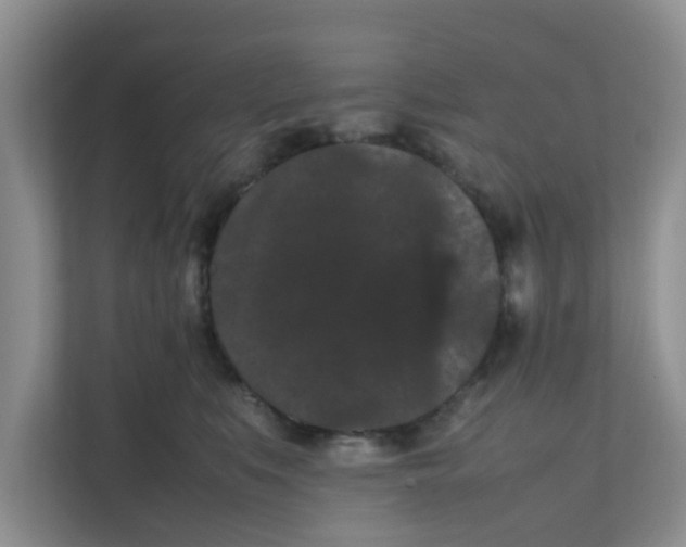 X0000111860519200908131502