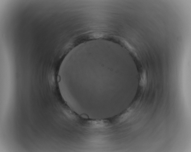 X0000111860524200908131502