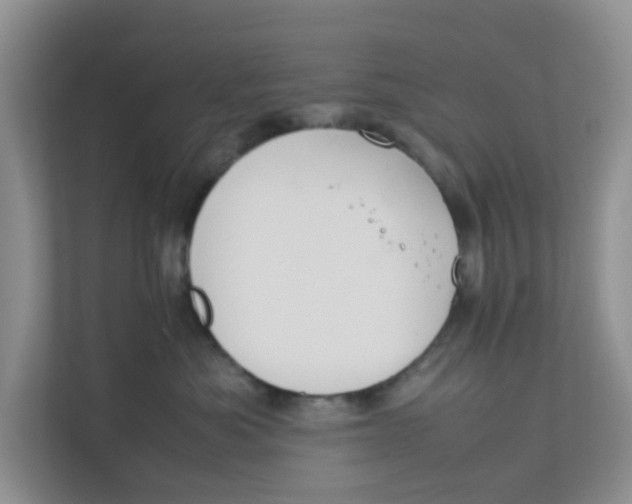 X0000111860525200908131502