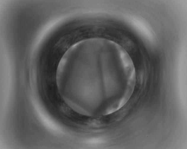 X0000111860526200908131502