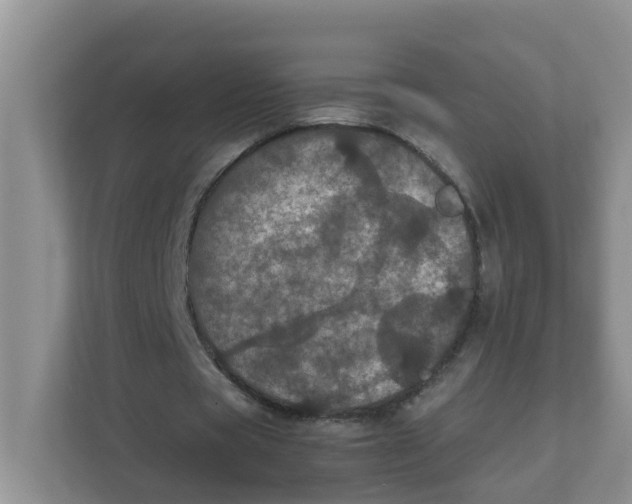 X0000111860529200908131501