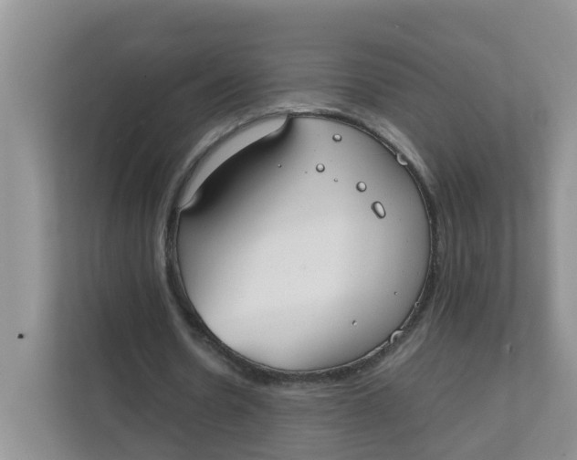 X0000111860530200908131501