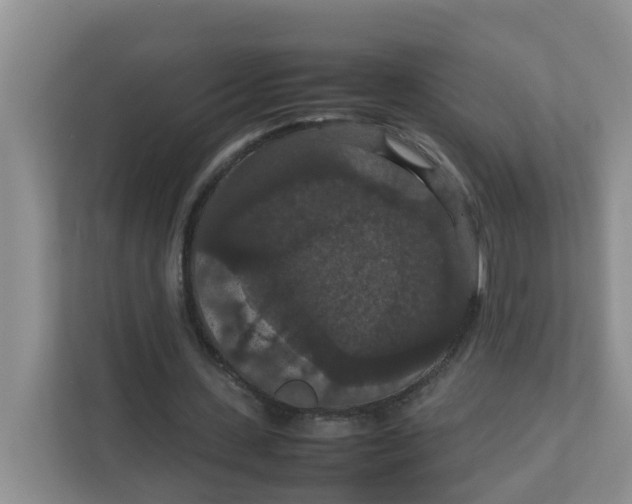 X0000111860531200908131501