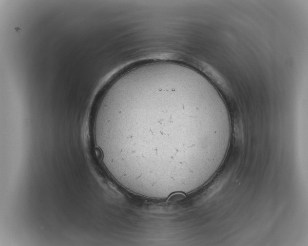 X0000111860532200908131501