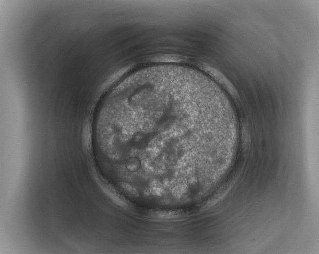 X0000111860533200908131501