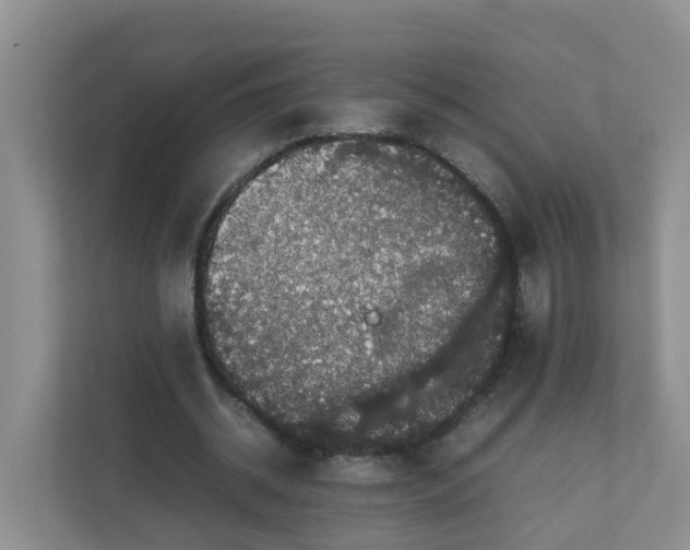 X0000111860534200908131501