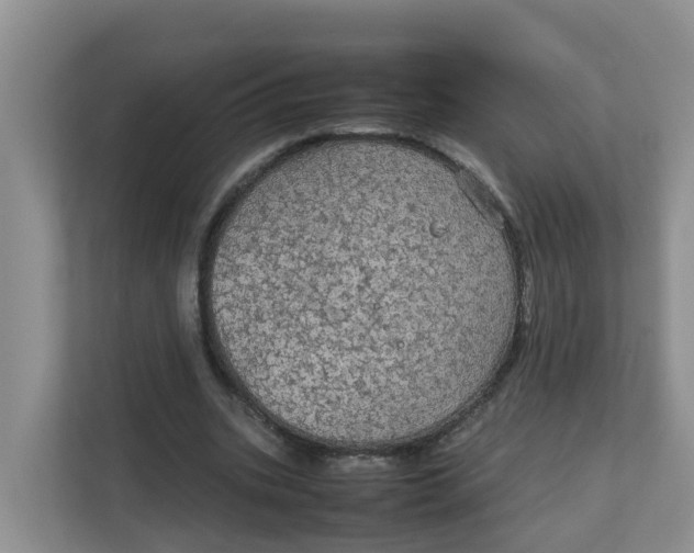 X0000111860535200908131501