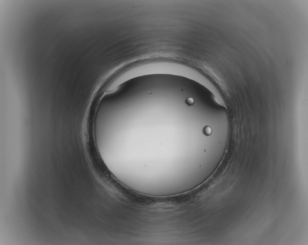 X0000111860536200908131501