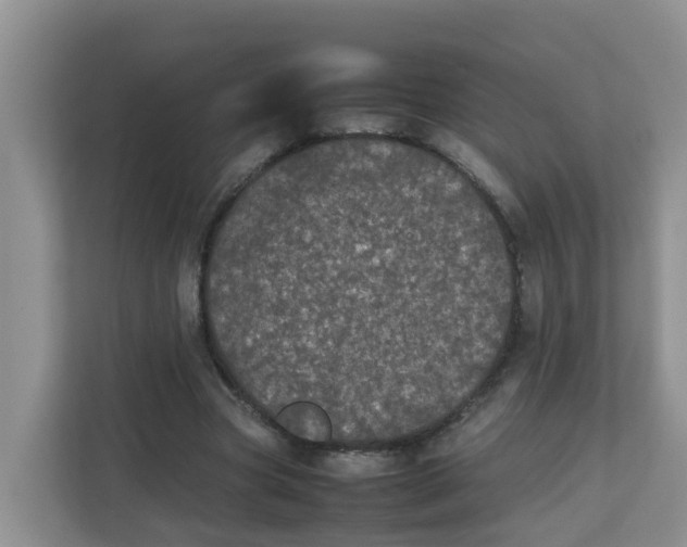 X0000111860537200908131501