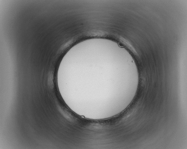 X0000111860538200908131501