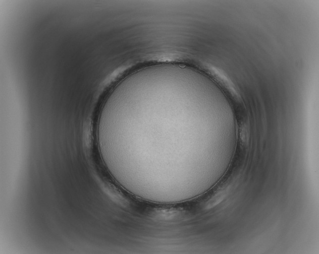 X0000111860540200908131501