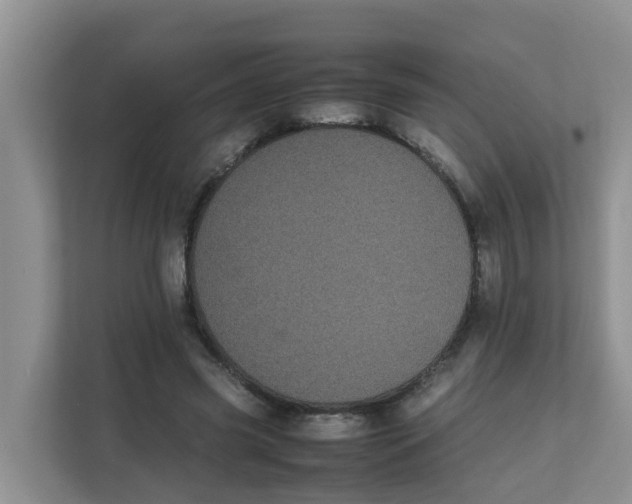 X0000111860541200908131501