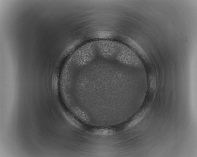 X0000111860542200908131501