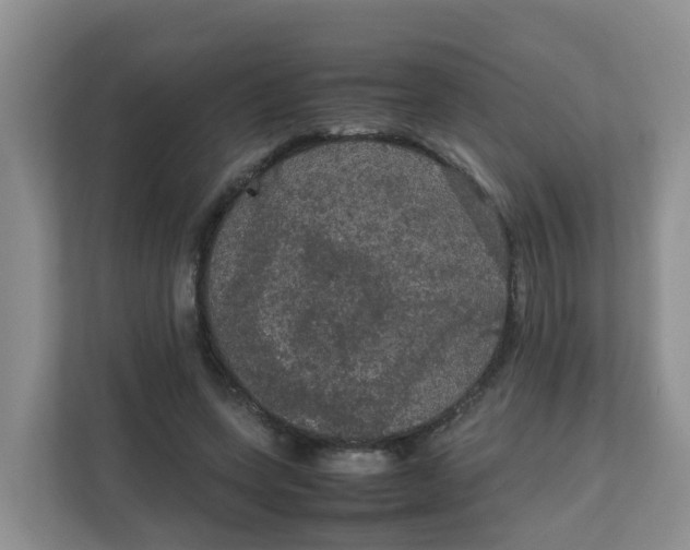 X0000111860543200908131501