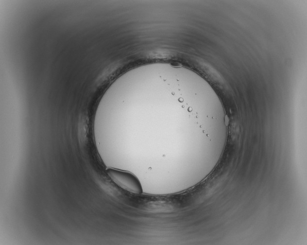 X0000111860544200908131501