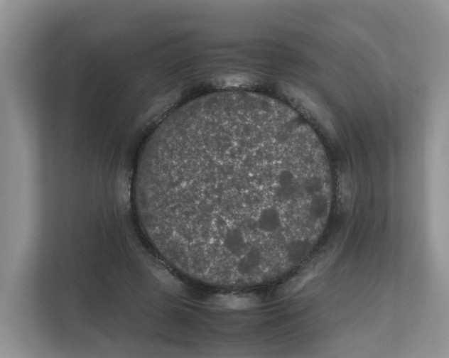 X0000111860545200908131501