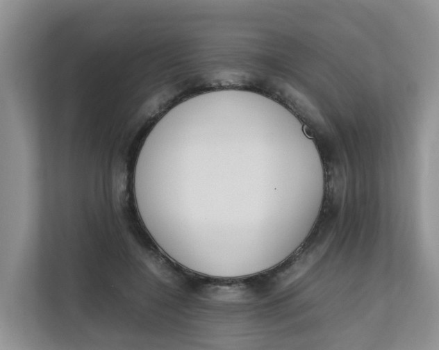 X0000111860548200908131501