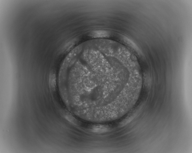 X0000111860549200908131501