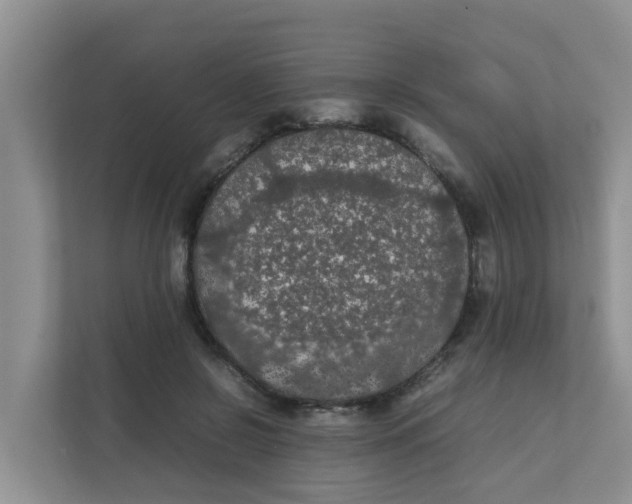 X0000111860550200908131501